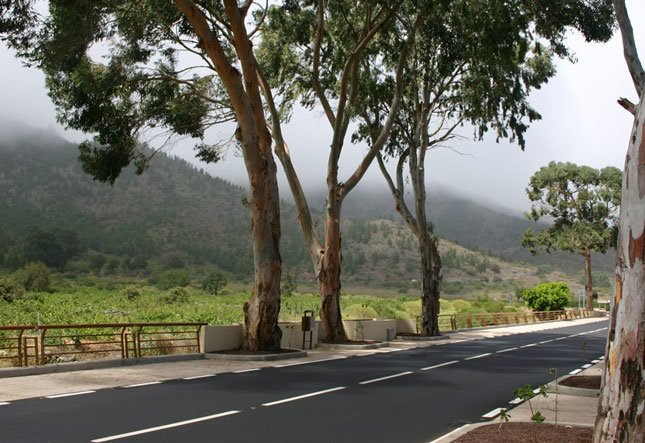 cycling-in-tenerife-teide-6