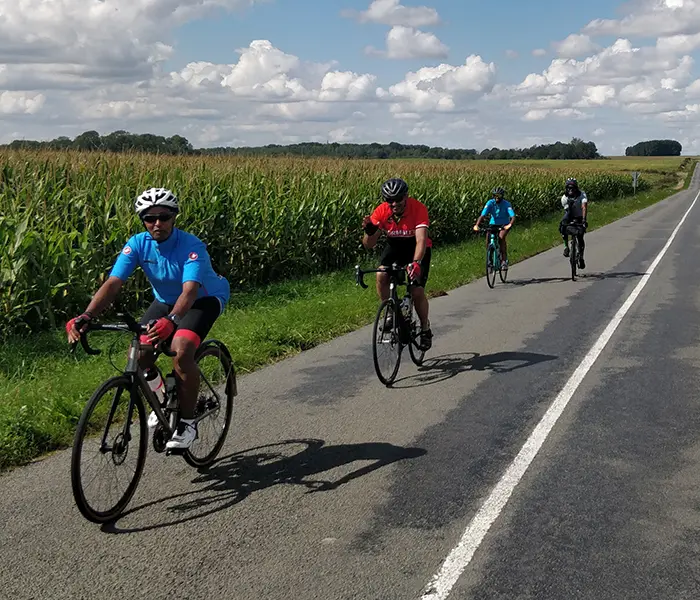 Cyclists riding in a line along a quiet road beside a tall maize field